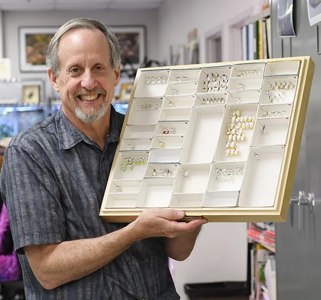 Bohart Museum senior museum scientist Steve Heydon with his Pteromalids or jewel wasps. (Photo by Kathy Keatley Garvey)
