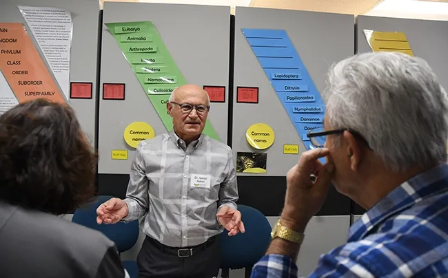 The adult silkmoth cannot fly, İsmail Şeker tells the Bohart Museum of Entomology visitors. (Photo by Kathy Keatley Garvey)