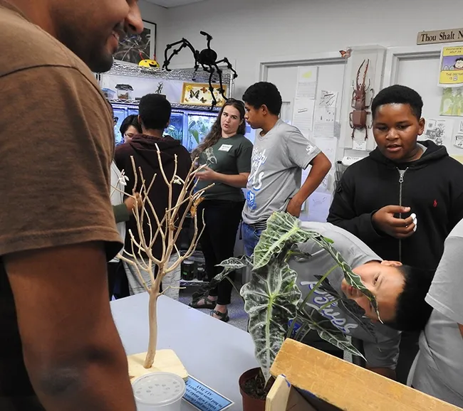 Middle school students from the Elk Grove Unified School District talk to praying mantis expert Lohit Garikipati, a UC Davis alumnus who rears mantids. In back is Bohart associate Emma Cluff. (Photo by Kathy Keatley Garvey)
