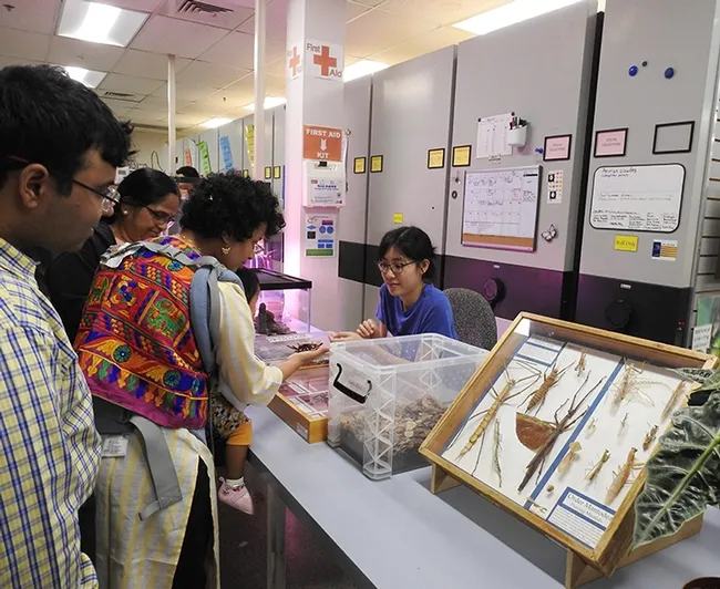 Entomology alumnus Nicole Tam talks about her beetle-mimicking roaches. (Photo by Kathy Keatley Garvey)