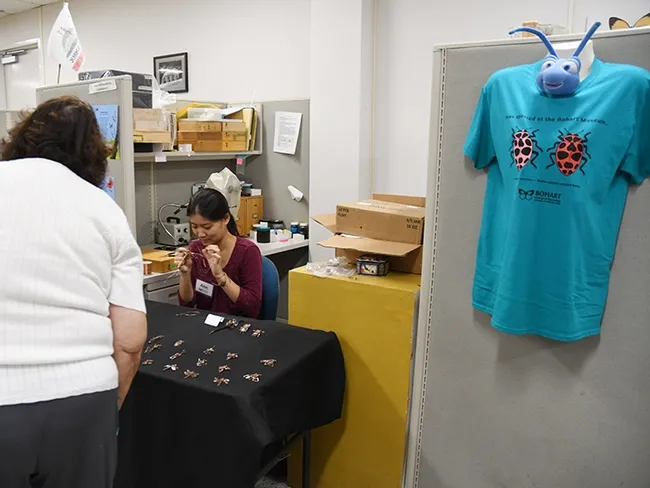 Entomologist Ann Kao, a 2019 UC Davis graduate who now works at the California Department of Food and Agriculture, crafts insect jewelry. At right is one of the t-shirts from the gift shop. (Photo by Kathy Keatley Garvey)