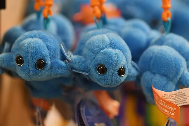 Here's looking at you. Water bears in the Bohart Museum of Entomology are soft and cuddly. (Photo by Kathy Keatley Garvey)