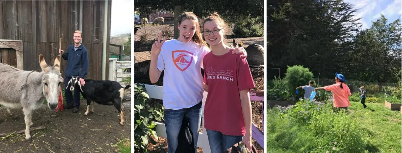 Volunteer with Animals_Gardens (1)