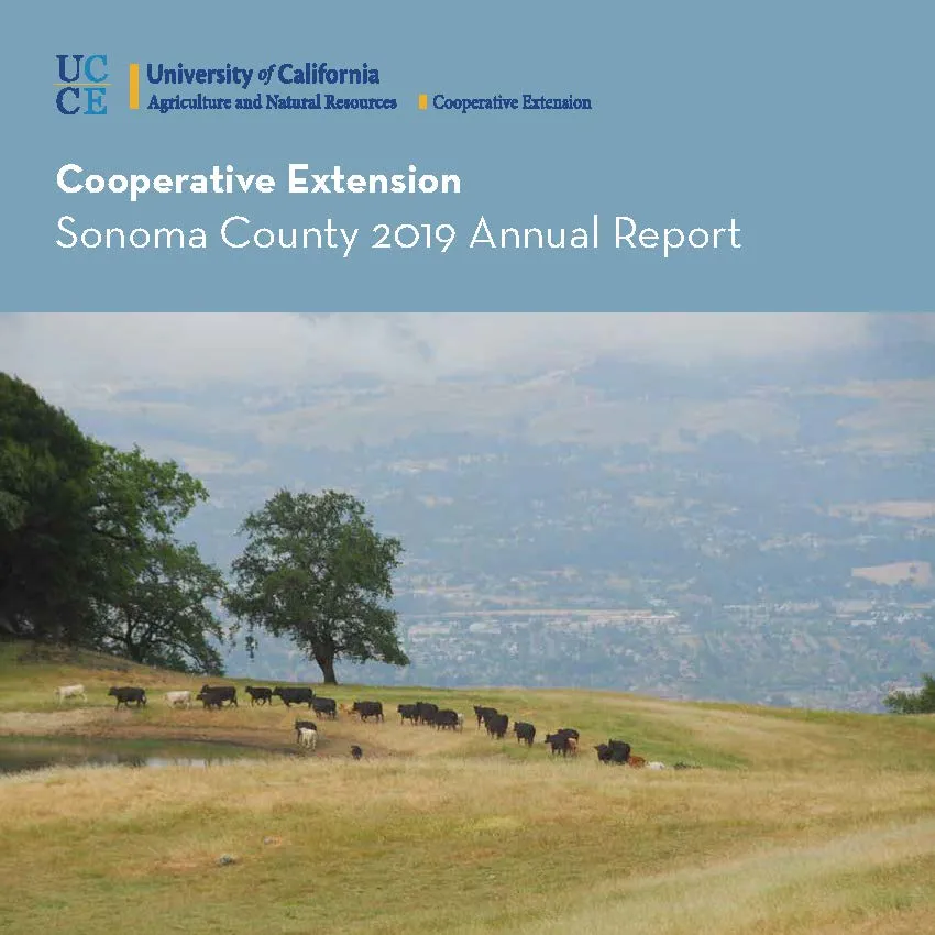 2019 Annual Report