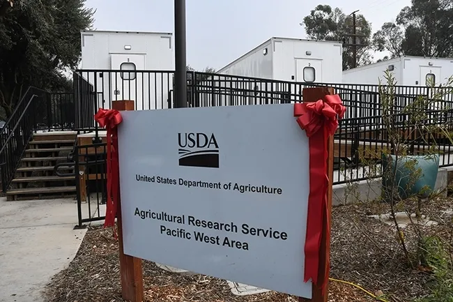 Much collaboration, cooperation, and camaraderie is expected here at the newly opened USDA-ARS bee research facility on Bee Biology Road, UC Davis.
