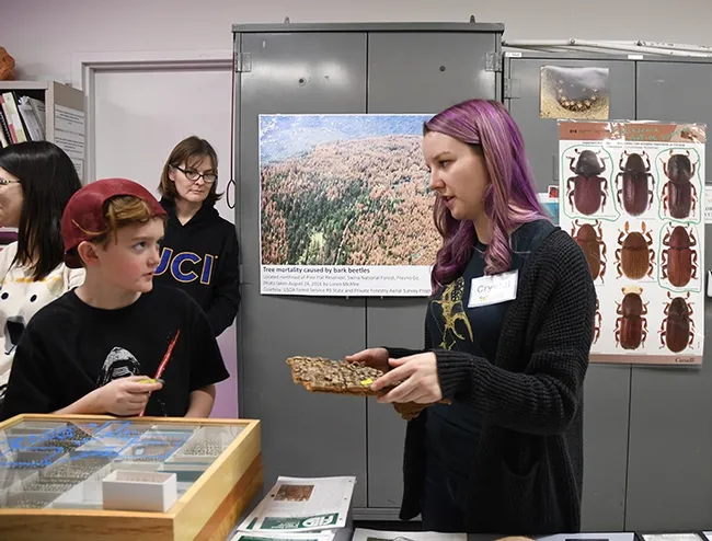 Forest entomologist Crystal Homicz shows visitors evidence of damage by forest beetles. (Photo by Kathy Keatley Garvey)