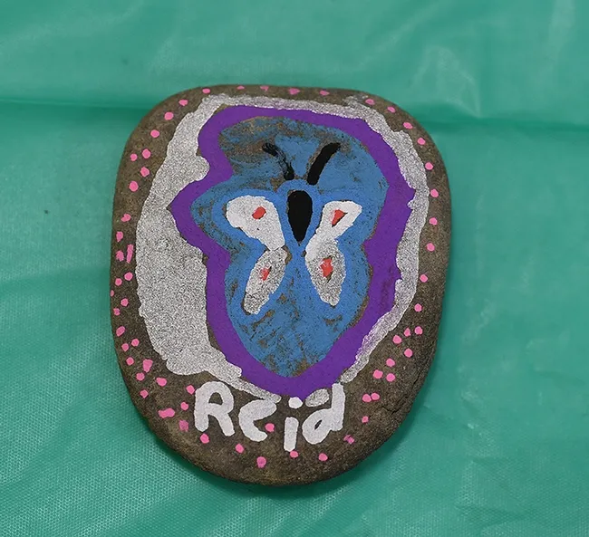 This creative rock shows a butterfly framed in purple and white. (Photo by Kathy Keatley Garvey)