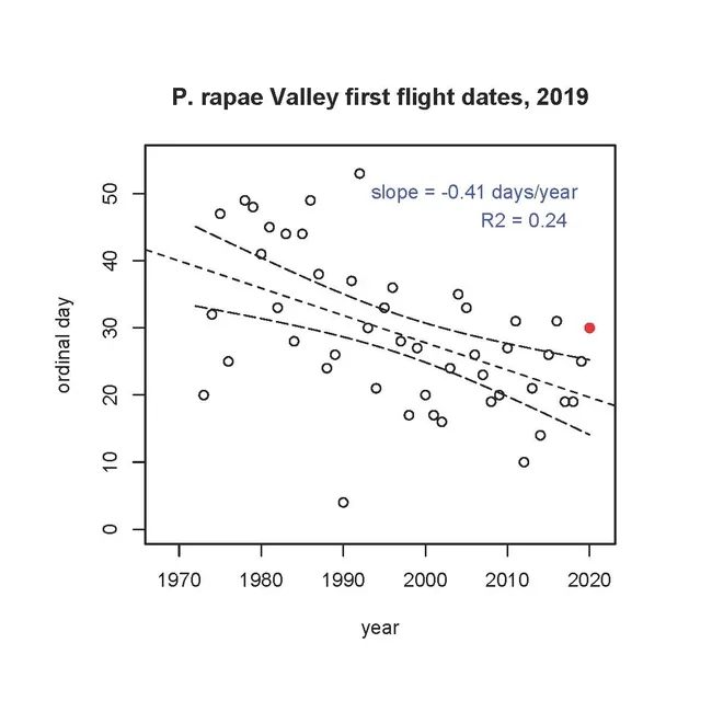This graph by Matthew Forister, McMinn Professor of Biology, University of Nevada, Reno, shows the first flights of the cabbage white butterfly, Pieris rapae. Forister received his doctorate from UC Davis, studying with major professor Art Shapiro.