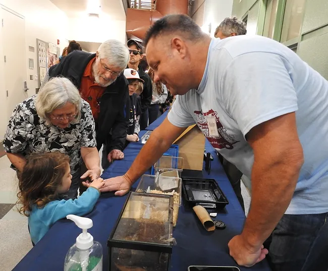 Martin Hauser of the California Department of Food and Agriculture will speak on stingless bees of Palo Alto at the Pacific Coast Entomological Society meeting on Feb. 27. Here he introduces Madagascar hissing cockroaches to Bohart Museum of Entomology guests on Feb. 15 during the UC Davis Biodiversity Museum Day. (Photo by Kathy Keatley Garvey)