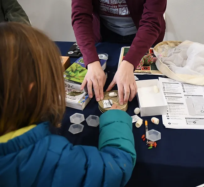 Youngsters got creative with silkworm moth cocoons. (Photo by Kathy Keatley Garvey)