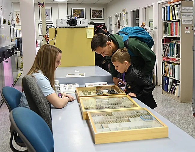 UC Davis doctoral student and forest entomologist Crystal Homicz, UC Davis Department of Entomology and Nematology, talks about the diversity of beetles. (Photo by Kathy Keatley Garvey)