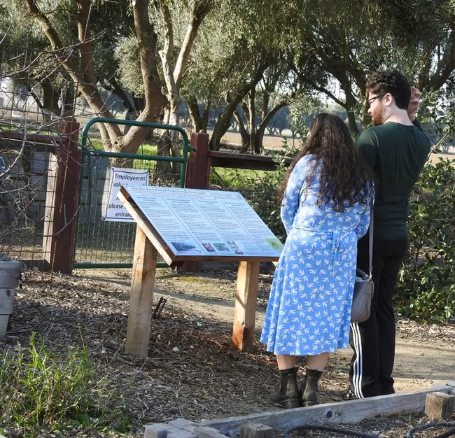 A couple reads the information on a sign displayed in the haven. (Photo by Kathy Keatley Garvey)