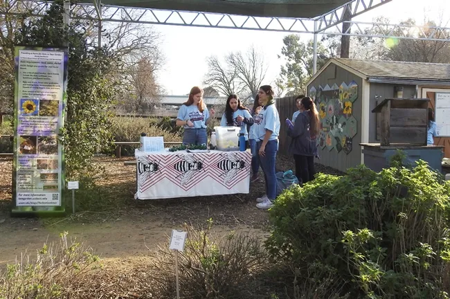 Volunteers at the Häagen-Dazs Honey Bee Haven await visitors during the UC Davis Biodiversity Museum Day. (Photo by Kathy Keatley Garvey)