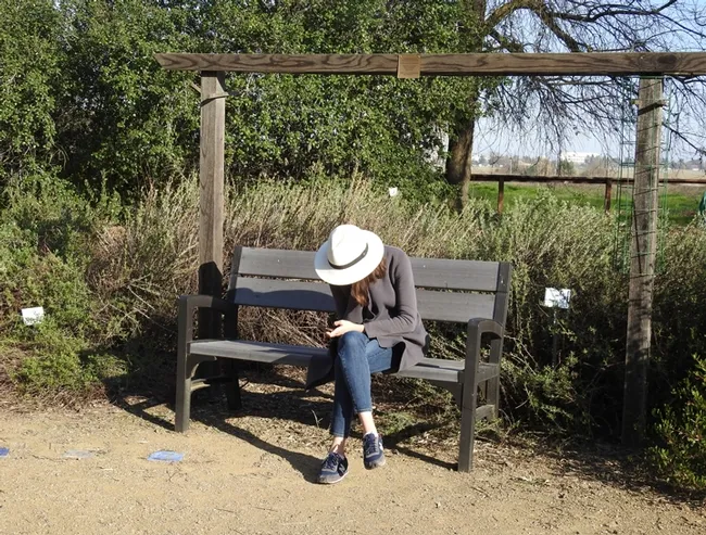 Benches, donated by the California State Society of the Daughters of the American Revolution (under the leadership of then State Regent Debra Jamison of Fresno), are a good spot to relax, enjoy the garden, and check your email. (Photo by Kathy Keatley Garvey)