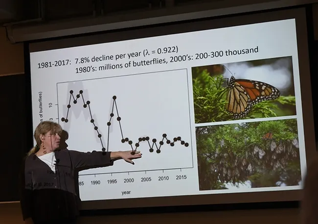 Professor Elizabeth Crone delivering a seminar on Western monarchs to the UC Davis Department of Entomology and Nematology. (Photo by Kathy Keatley Garvey)