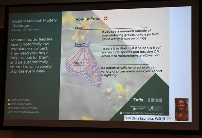 If you see a Western monarch between Feb. 14 and April 22, report it to the Western Monarch Mystery Challenge.