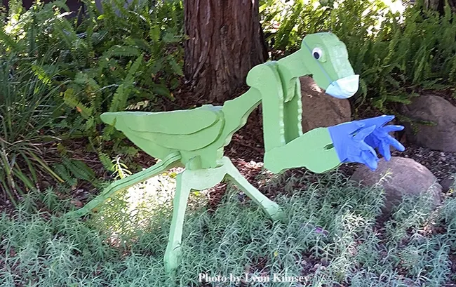 This is the coronavirus-equipped mantis that's drawing lots of smiles in the Davis front yard of entomologists Robert and Lynn Kimsey of UC Davis. (Photo by Lynn Kimsey)