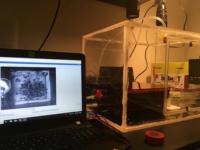 This is the device that Annaliese Wargin designed and built for her bumble bee research project. (Photo by Annaliese Wargin)