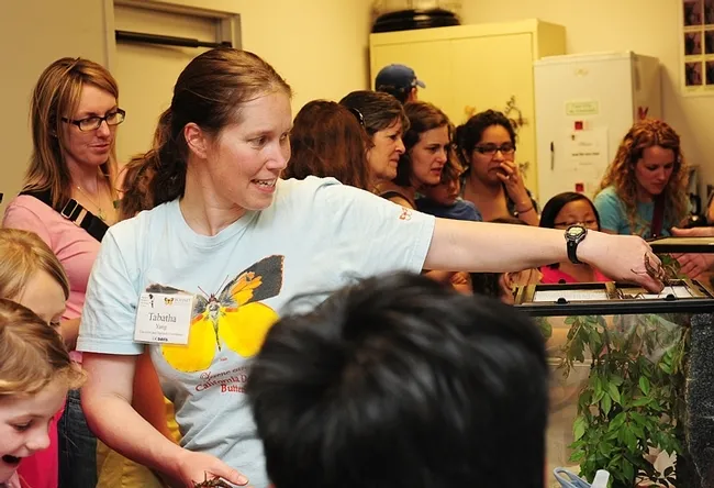 Tabatha Yang, education and outreach coordinator, shows visitors some petting zoo critters (pre-coronavirus pandemium days). (Photo by Kathy Keatley Garvey)