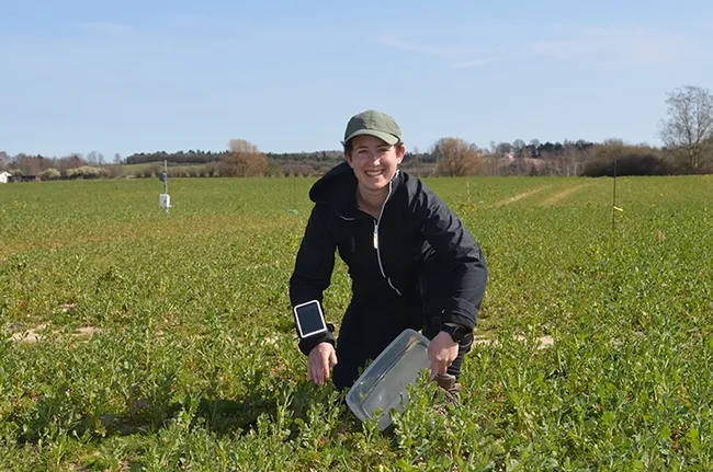 Agricultural entomologist Emily Bick doing field work in Denmark before the lockdown due to the coronavirus pandemic precautions.