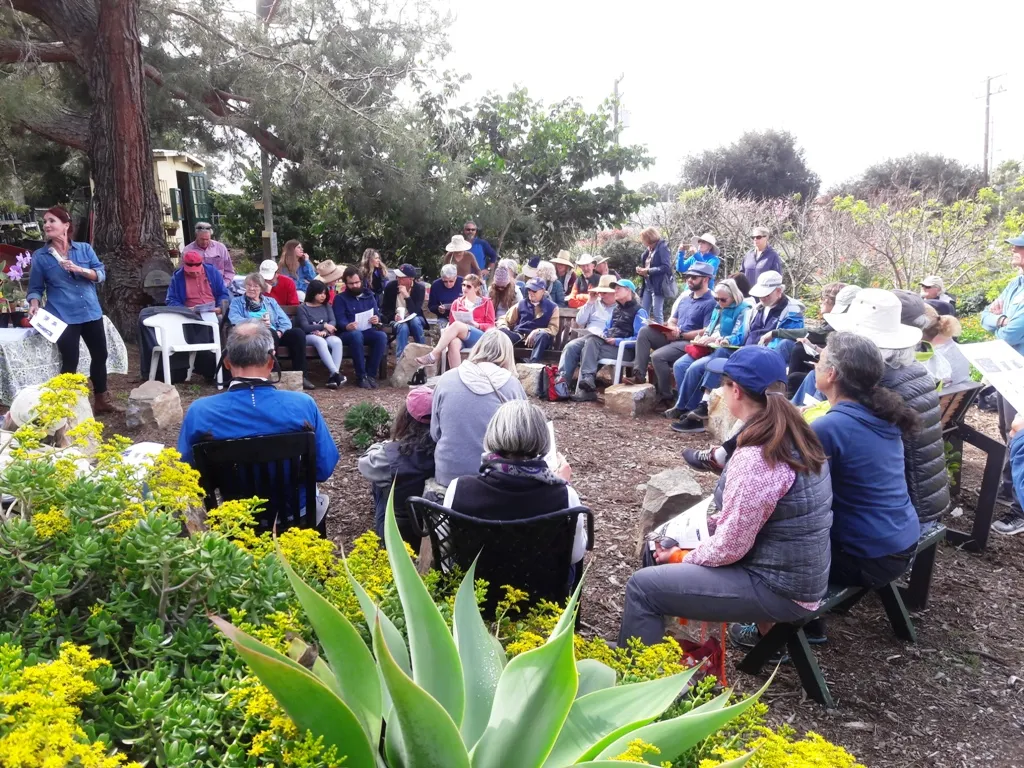 Growing Great Tomatoes at MHG