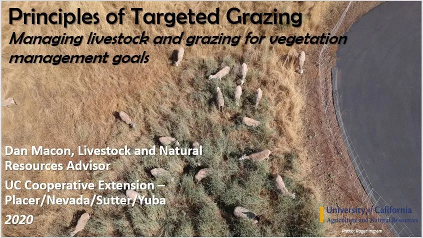 targ graz princ screen shot