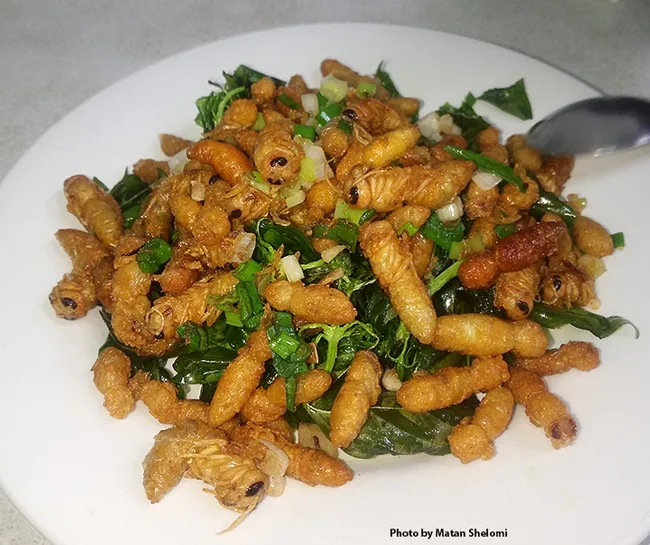 Delicious dish: The pupae of the Asian giant hornet. This image is of food served in a restaurant in eastern Taiwan. (Photo by Matan Shelomi)