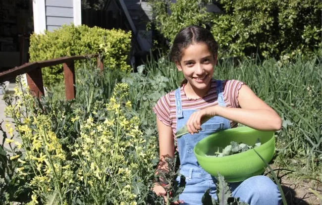 As part of a parental assignment, 11-year-old Molly Nansen of Davis calculated "How much cabbage would be needed to meet the Vitamin K requirements for her entire class for a whole year?" (Photo by Christian Nansen)