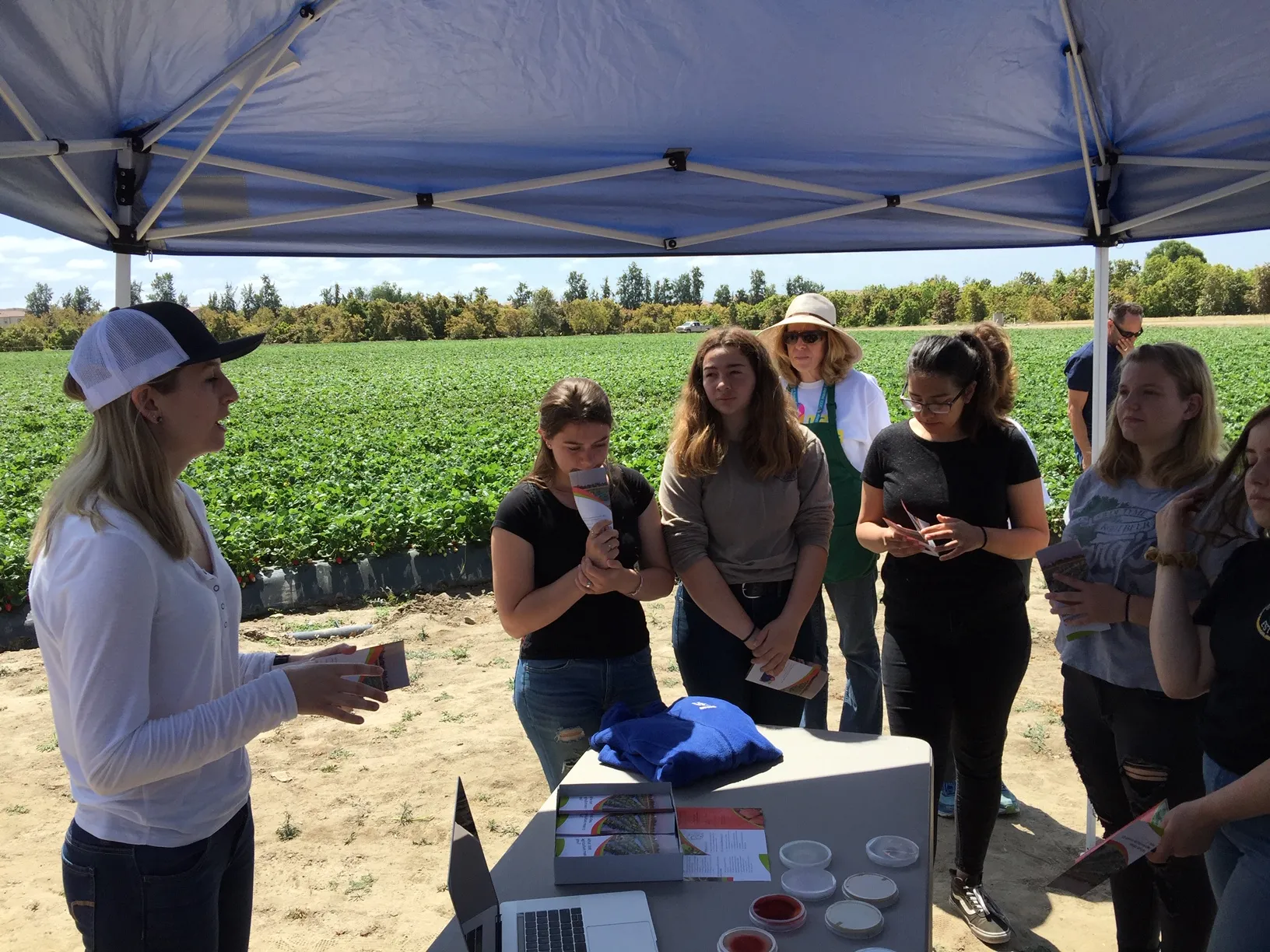 GROW Program students in a strawberry field learning from Lindsey Pedroncelli about strawberries and plant pathology