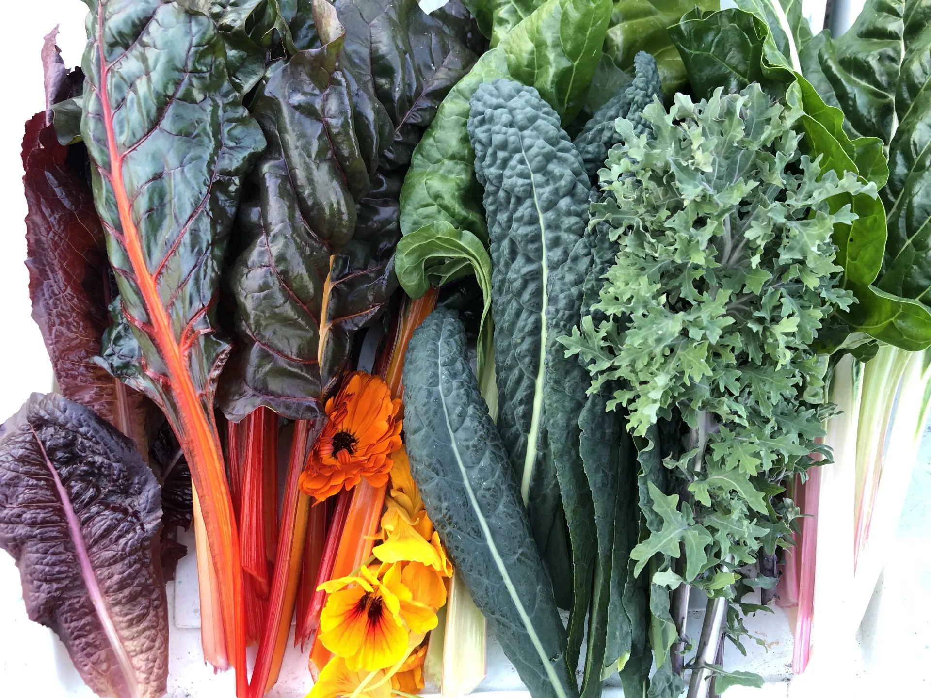 Kale-orful Rainbow of Veggies