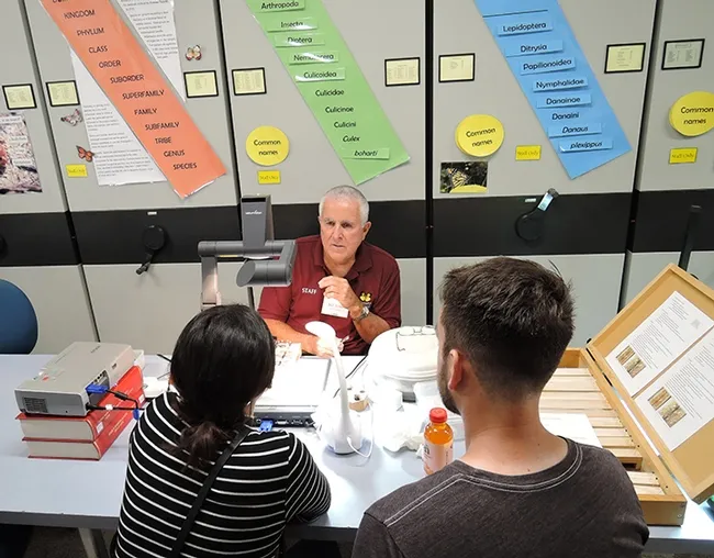 Entomologist Jeff Smith, curator of the Bohart Museum of Entomology's Lepidoptera collection, discusses how to pin and spread specimens. (Photo by Kathy Keatley Garvey)