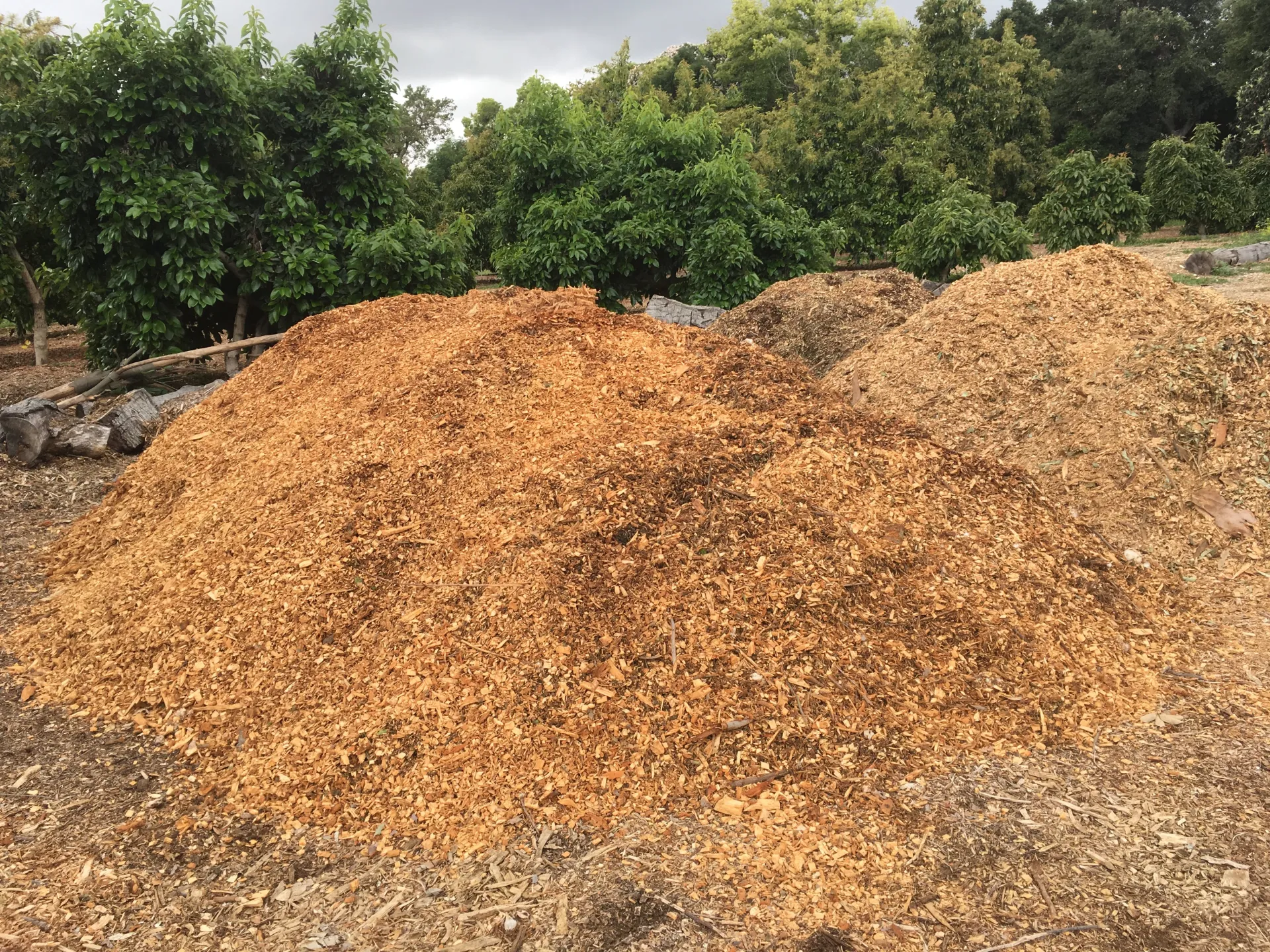 Chips - Nobua-Behrmann