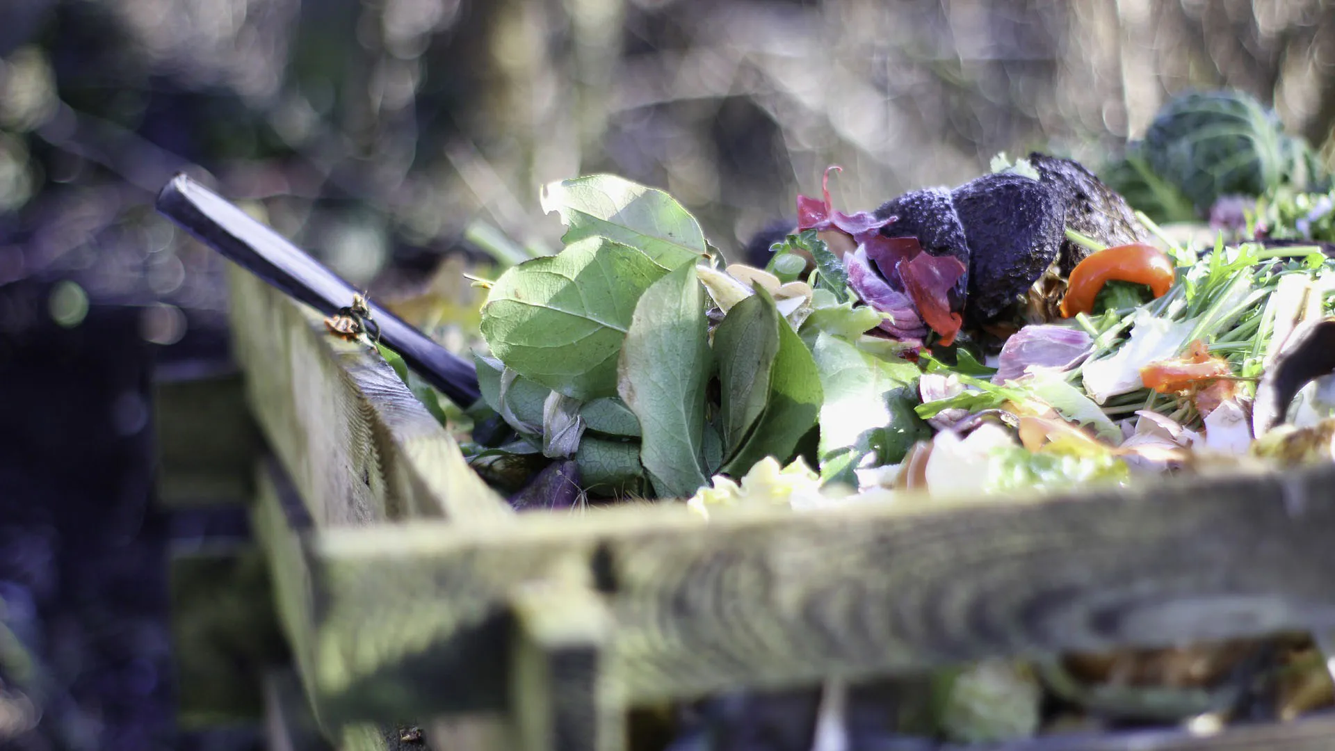 Compost benefits the garden as well as the environment. Photo: Pixabay.com
