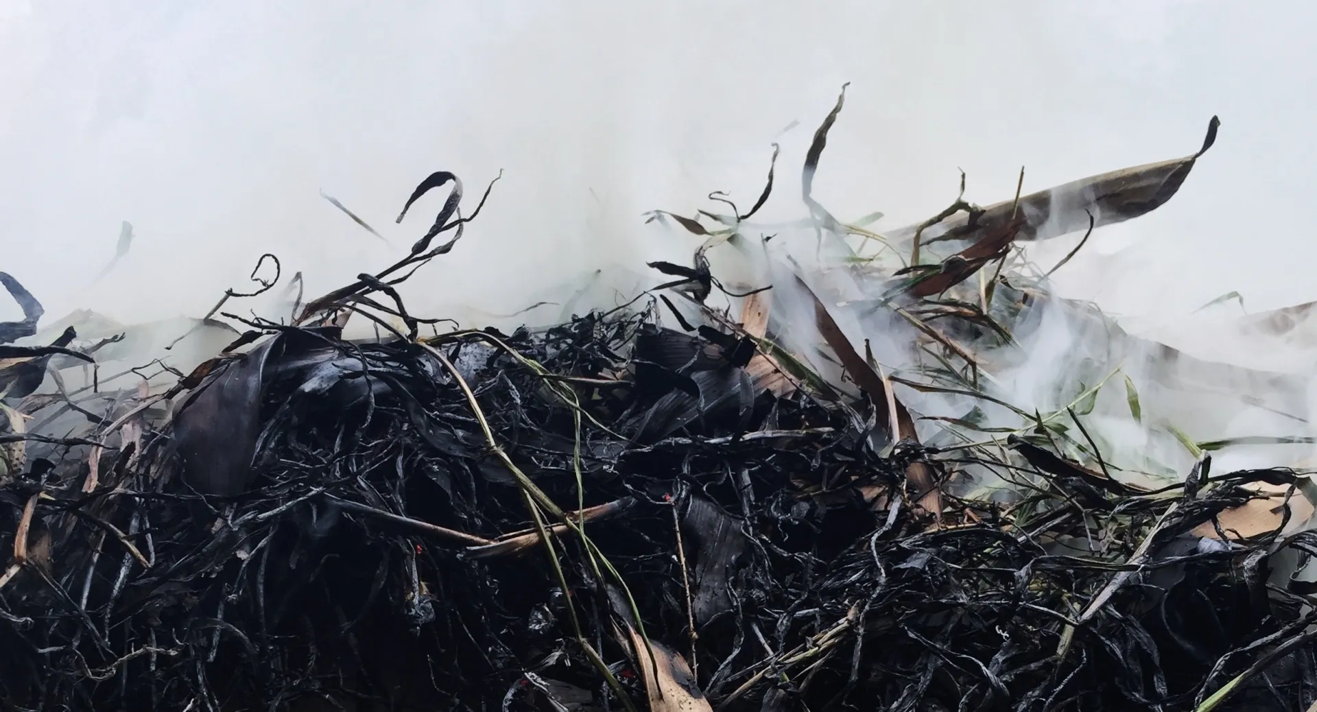 Photo: Fahmi Ariza, Unsplash