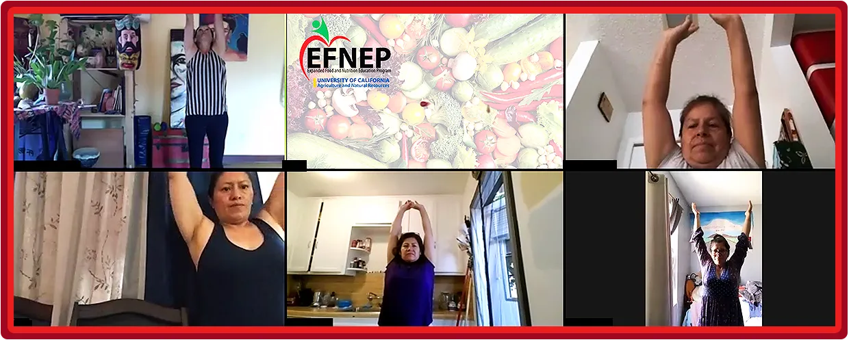 EFNEP-remote-banner-lrg