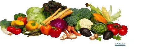 Veggies for Zoom 467p