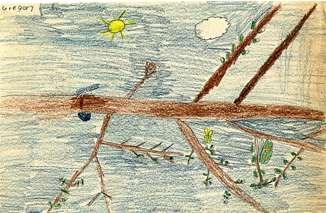 As a second-grader, Greg Kareofelas displayed a keen interest in science and acute observations about the monarch life cycle. This is his illustration in a monarch booklet.