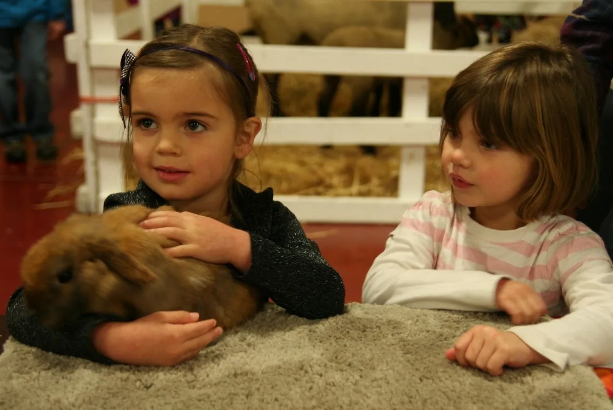 marin-farm-day-3___07103651529