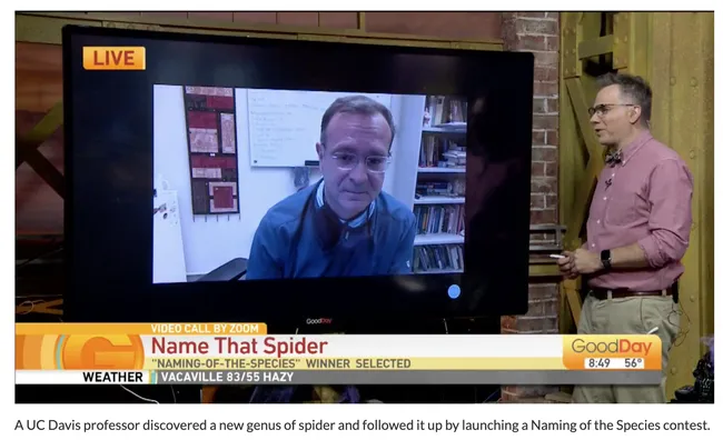 A screen shot of the TV program, Good Day Sacramento, featuring Jason Bond, the trapdoor spider he discovered, and the name-that-species contest. See https://gooddaysacramento.cbslocal.com/video/4770491-name-that-spider/