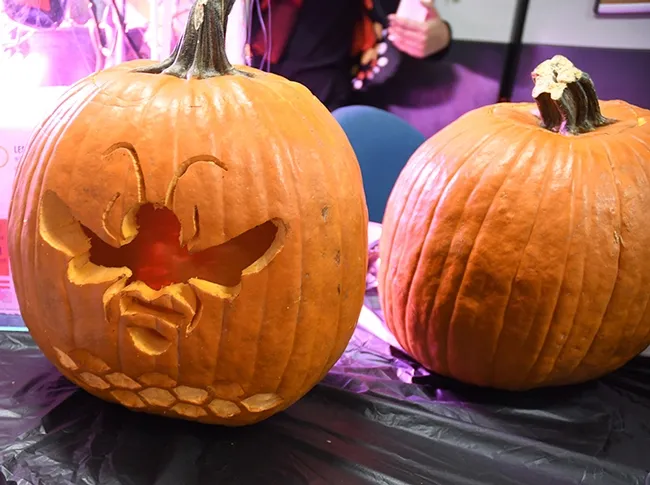 This carved pumpkin celebrates the order Hymenoptera (an order that includes bees, wasps and sawflies). Doctoral student Charlotte Alberts carved this one of a bee and honeycomb. (Photo by Kathy Keatley Garvey)