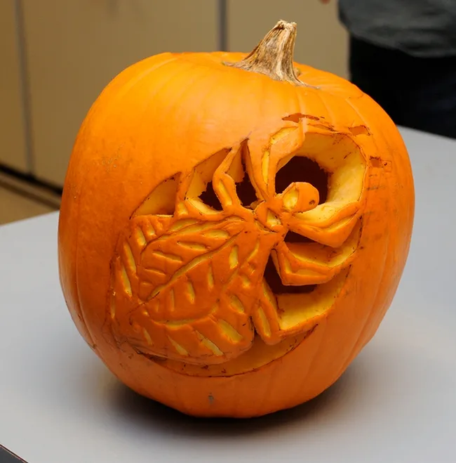 What, you've never seen a pumpkin with a bedbug theme? This is one of the pumpkins featured at a previous Halloween party at the Bohart Museum of Entomology. (Photo by Kathy Keatley Garvey)