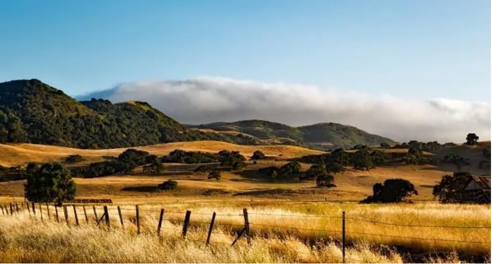Dry summer hills and fog, typical of our Mediterranean climate. Photo: pxhere.com
