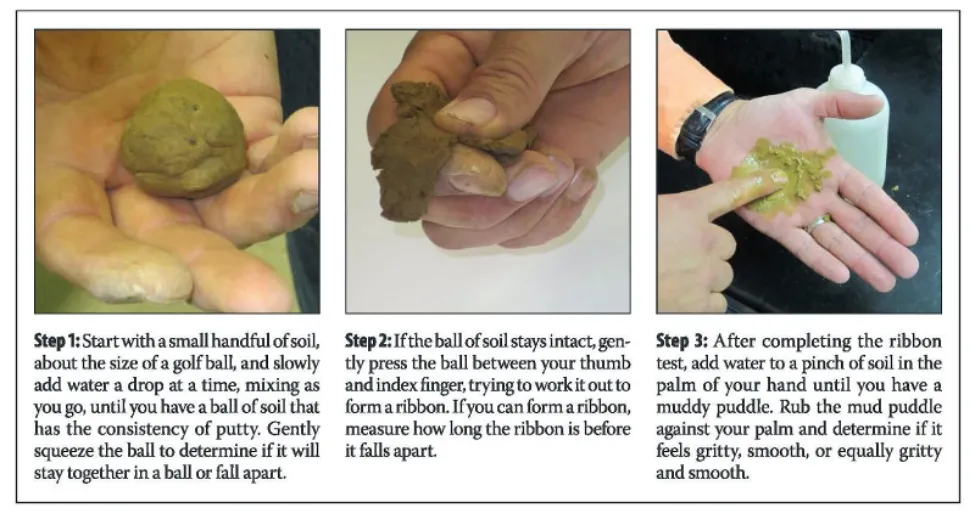 Courtesy of University of Kentucky Extension