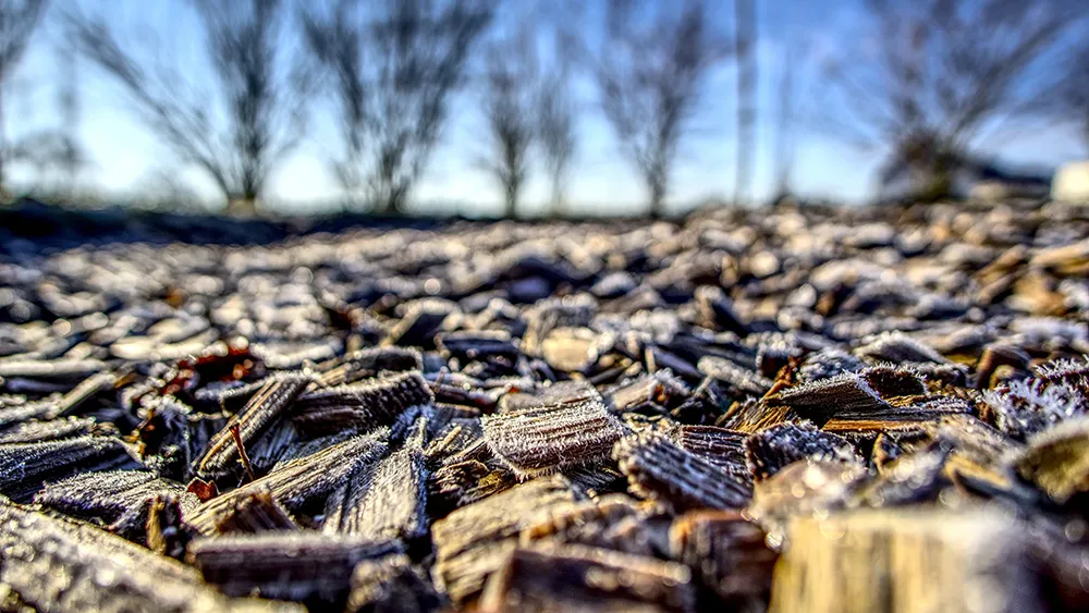 Photo: Jao Xu, Unsplash