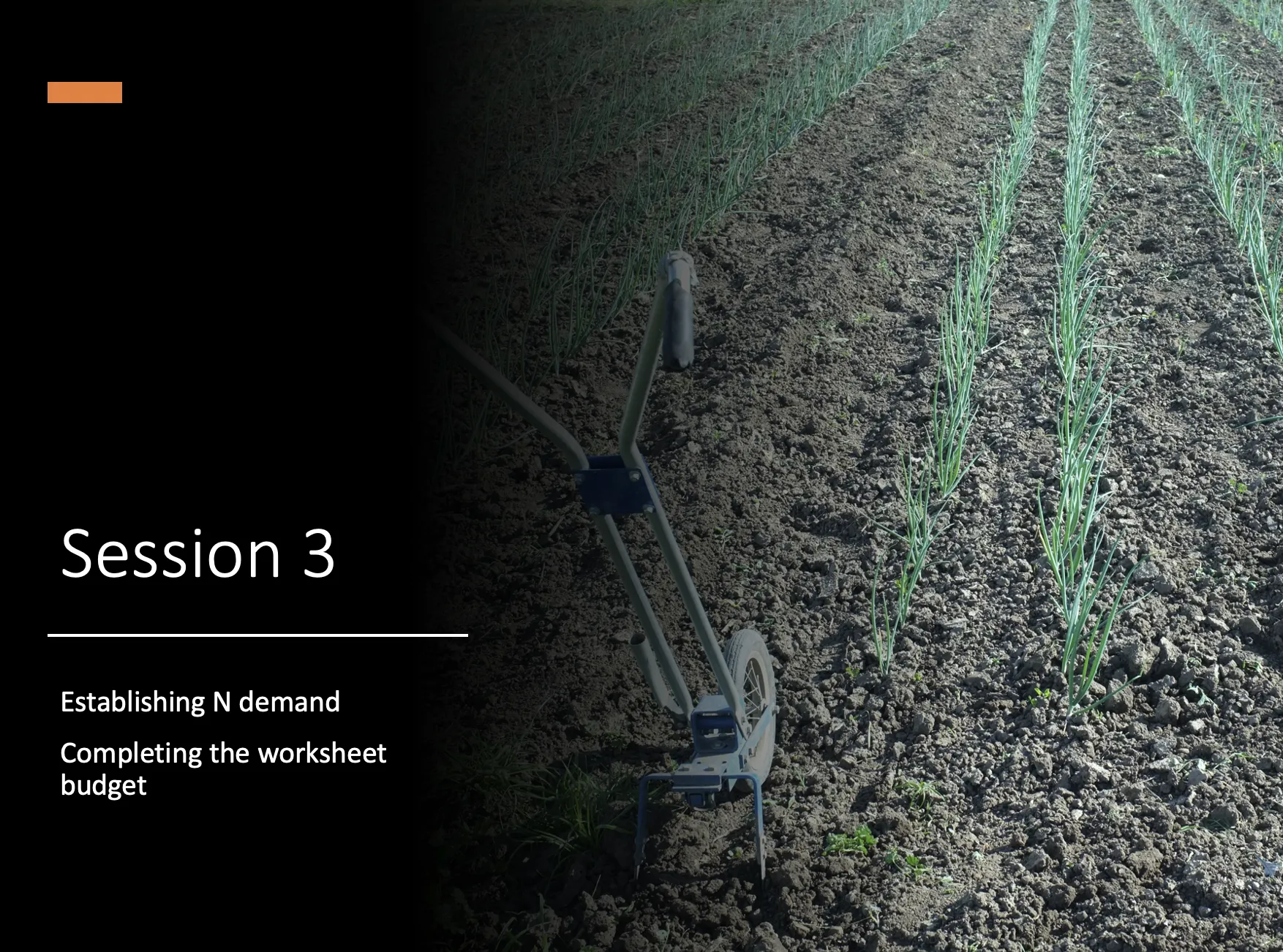 Screen Shot 2020-12-01 at 3.29.59 PM