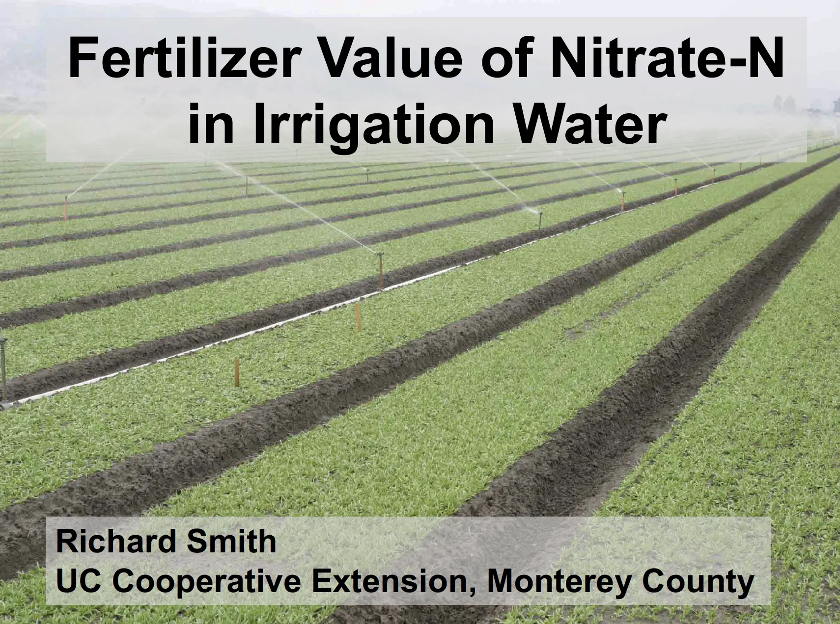 Screen Shot 2020-12-01 at 4.23.49 PM