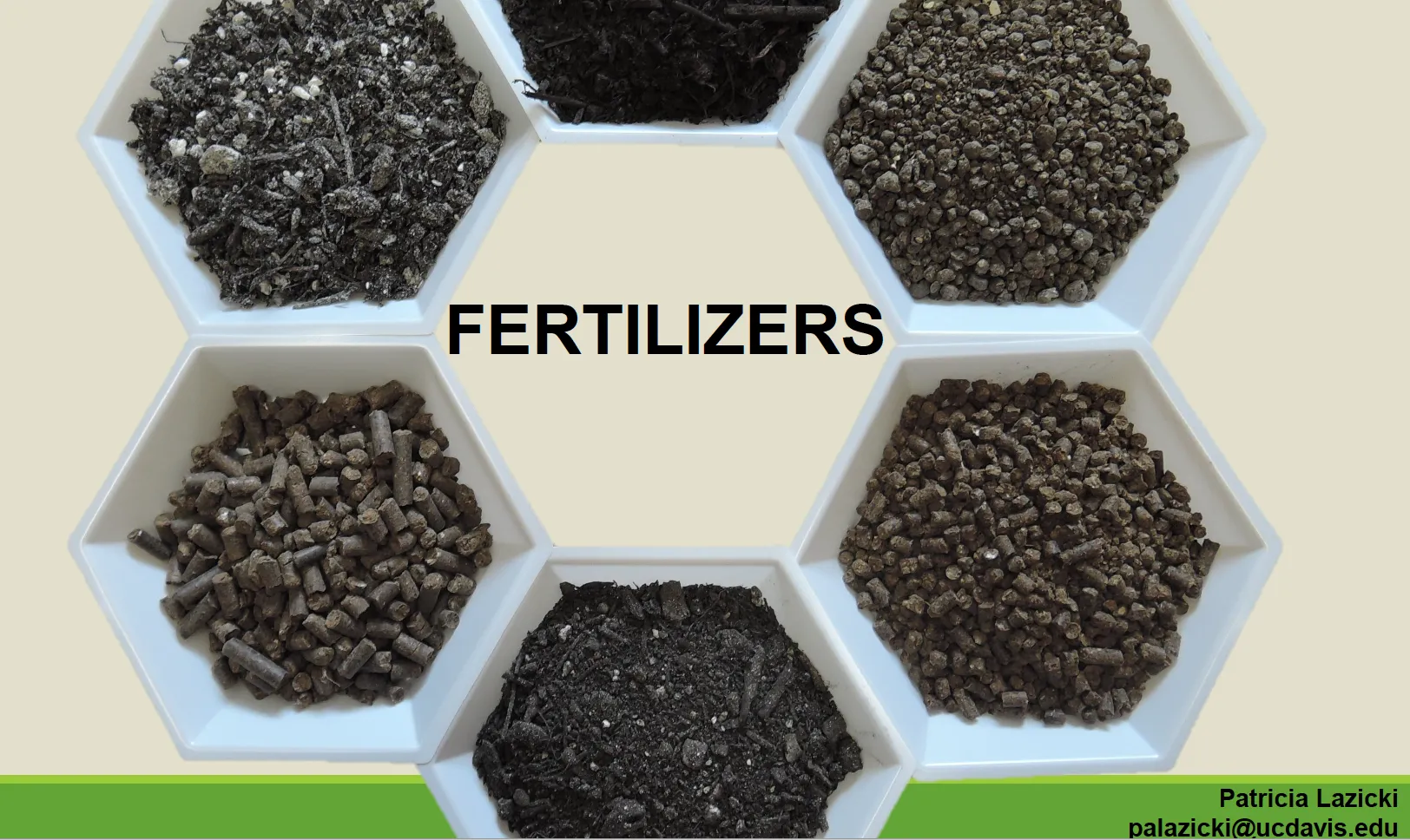 Screen Shot 2020-12-01 at 4.27.22 PM