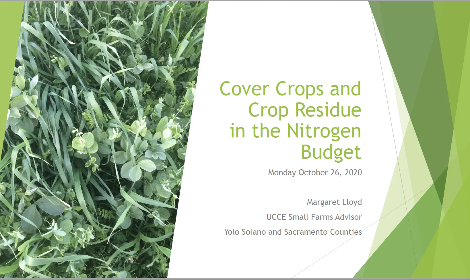 Screen Shot 2020-12-01 at 4.32.41 PM