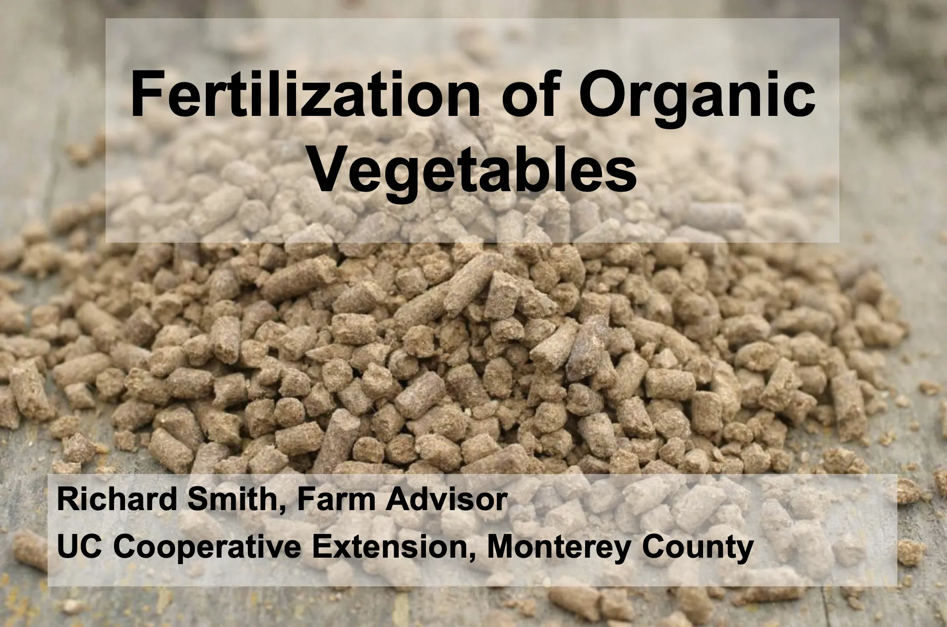 Screen Shot 2020-12-02 at 9.29.22 AM