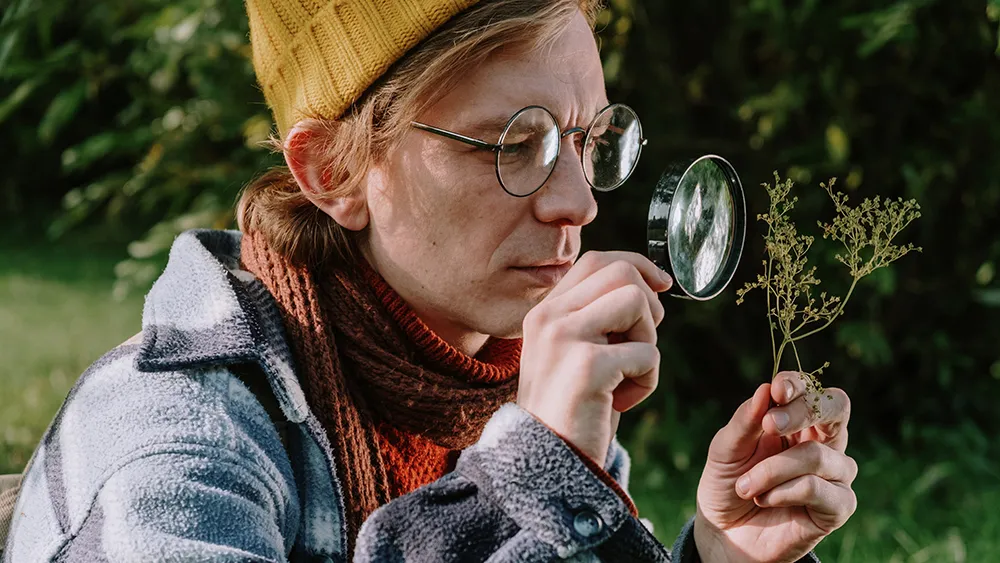 Look closely at the problem plant to clearly identify what’s wrong. Photo: C Technical, Pexels